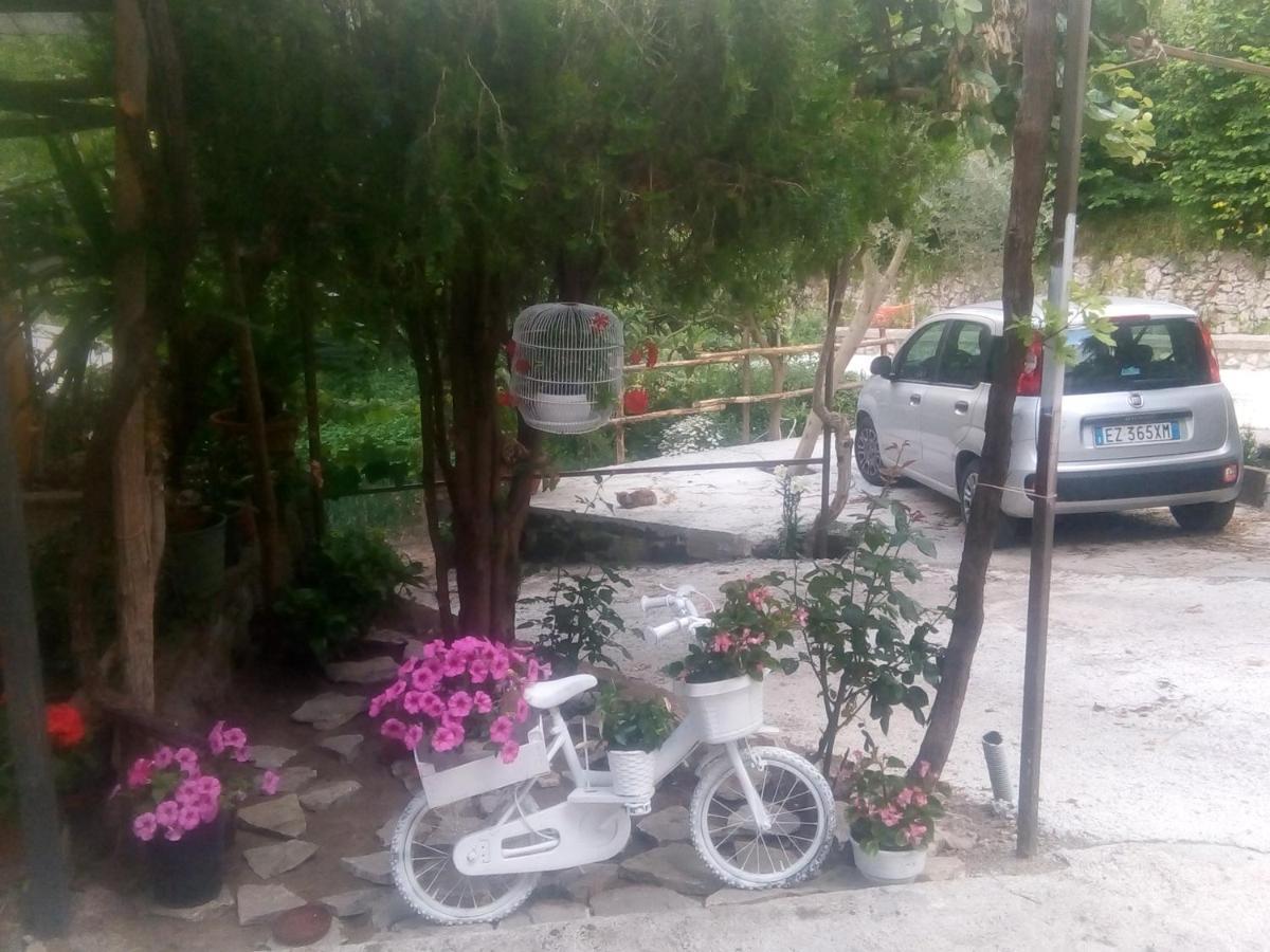 Amaa Casa Bed and Breakfast Vico Equense Εξωτερικό φωτογραφία